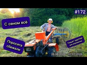 С сеном всё. Поросята СБЕЖАЛИ. «Новый» АДАПТЕР для мотоблока - на ГРАБЛИ- ВОРОШИЛКИ зря грешил...