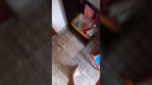 1000125896.mp4
