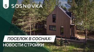 СОСНОВКА — обзор коттеджного поселка от СК АССЕТ | Участки, инфраструктура и строительство дома