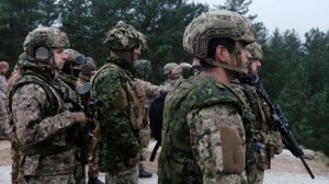 Нидерланды посоветовали разрешить европейским войскам применять силу против РФ