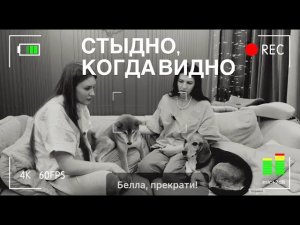 Cтыдно, когда видно
