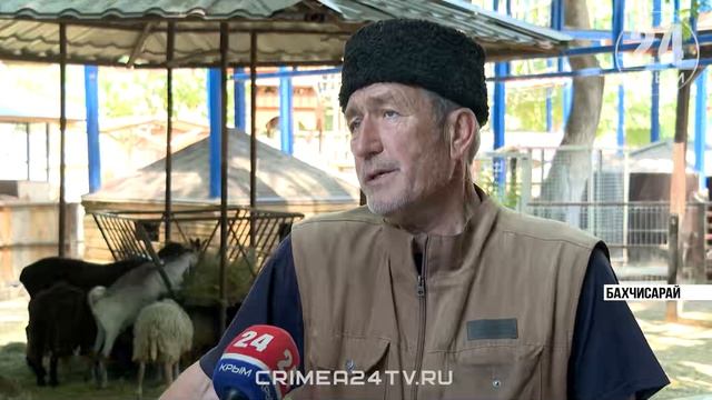 Освежающие процедуры: как животным в крымских зоопарках помогают справиться с жарой смотреть онлайн
