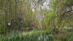 ЛЕСНИК, КОТОРОГО БОЯТСЯ ВСЕ_ КЕМ ОН БЫЛ НА САМОМ ДЕЛЕ_