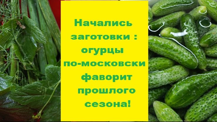 Заготовки на зиму, кулинария на каждый день и постный стол