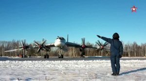 Песня «Я - Медведь»