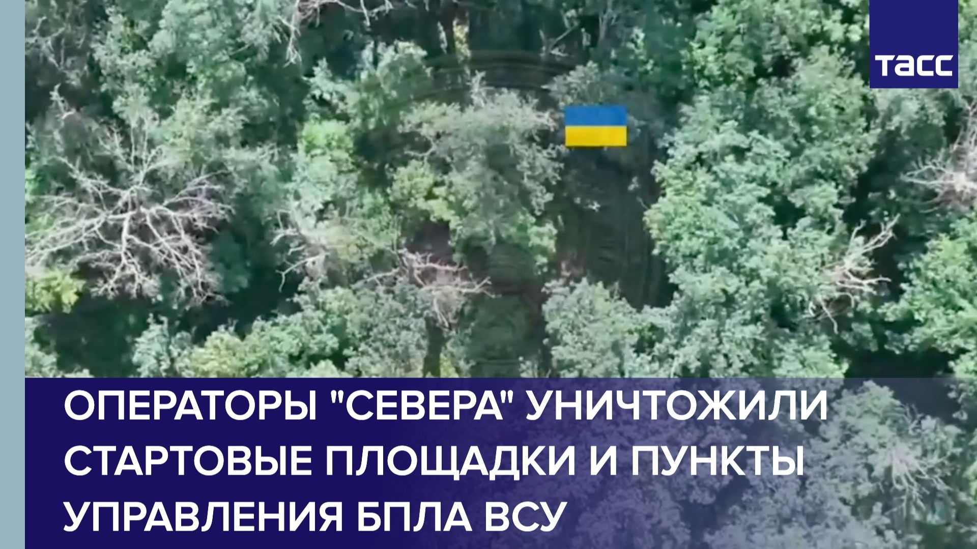 Операторы "Севера" уничтожили стартовые площадки и пункты управления БПЛА ВСУ смотреть онлайн