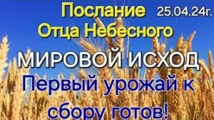 «Мировой исход», «Первый урожай к сбору готов» — послание Отца Небесного