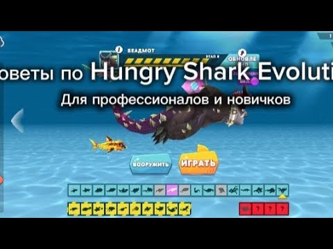 Советы по Hungry Shark Evolution от профессионала смотреть онлайн