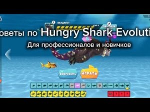 Советы по Hungry Shark Evolution от профессионала