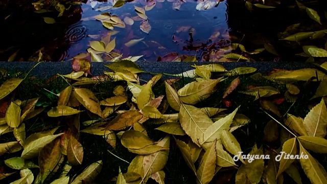 Потрясающая мелодия Дождь за моим окном Э. Туниянца Rain outside my window E. Tuniyants смотреть онлайн