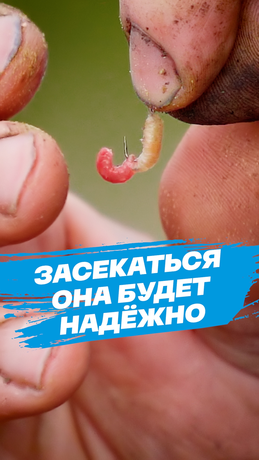 Одна из ЛУЧШИХ насадок по осторожной рыбе