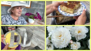 Появились ЖУКИ. Хочу ли Я ПОХУДЕТЬ ? Вкуснючий ПИРОГ