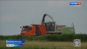В Белгородской области полным ходом идут работы по заготовке кормов для животноводства
