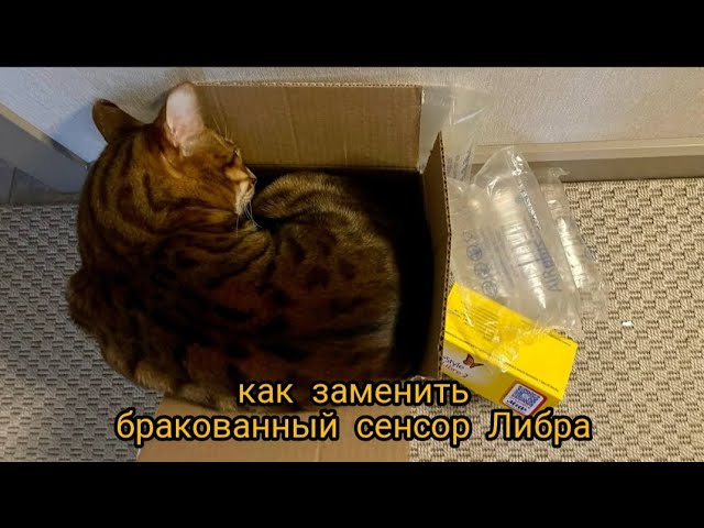 как заменить бракованный сенсор Либра | FreeStyle Libre
