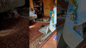 общение сбор денег для др