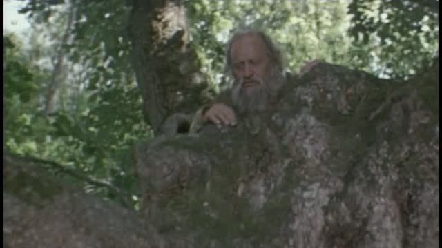 Ты извини, но денег у меня нет! Фрагменты из фильма "Сказка, рассказанная ночью". 1981 г.