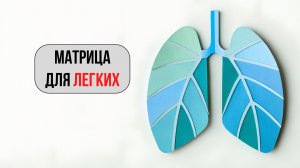 Матрица для лёгких. Волновая генетика