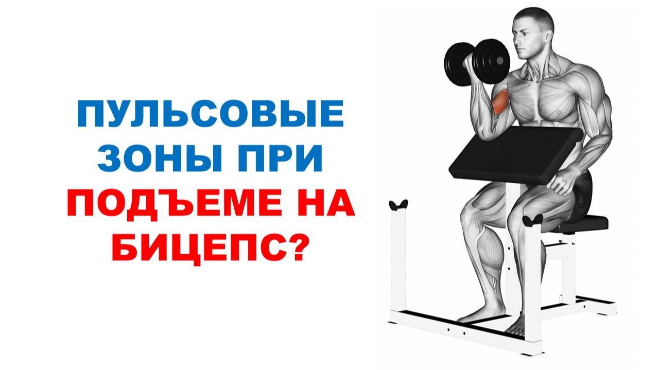 Обзоры исследований