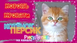 КОТЁНОК ПЕРСИК король кровати