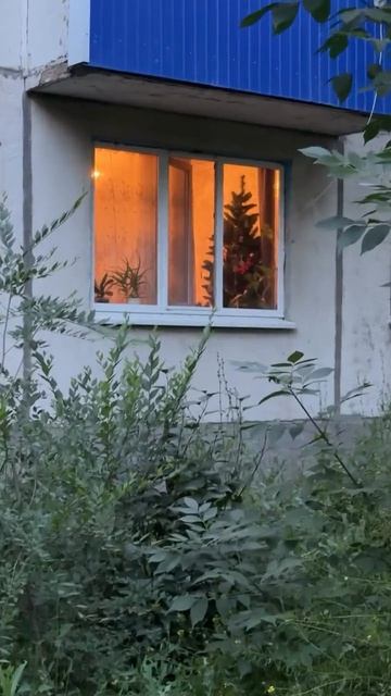 Просто смешное видео