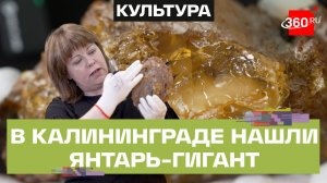 Самородок Юбиляр. В России нашли янтарь возрастом 40 млн лет. Калининград. Ростех
