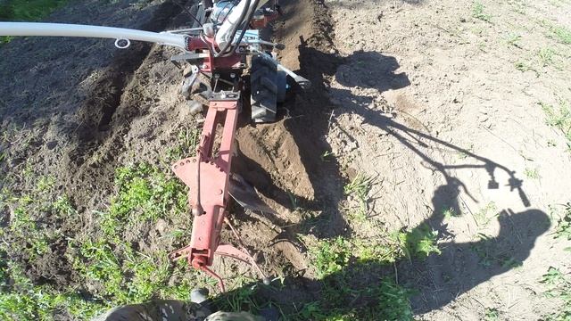 Мотоблок Боксбот с ПЦ-1-18, плуг поворотный
