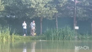 Сегодня сомик🦈