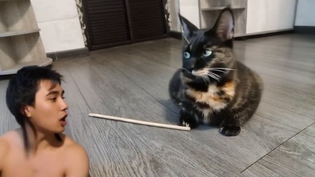 1000008414.mp4 смотреть онлайн
