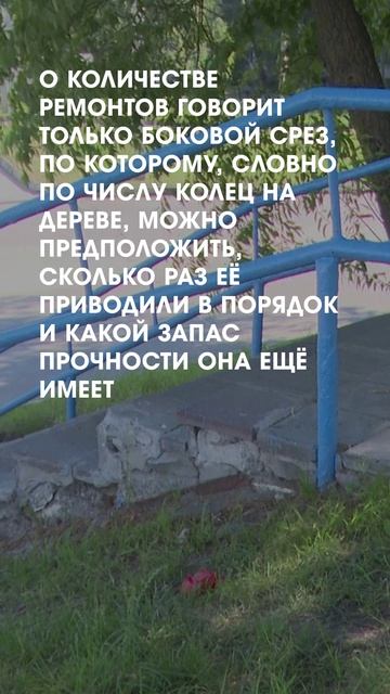 Лестницы