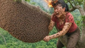 Залезли на высокое дерево, чтобы срезать гигантский улей, наполненный медом