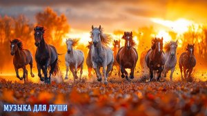 Красивая Мелодия До Слез! Сборник Лучших Мелодий От Которых Мурашки По Телу! #музыка