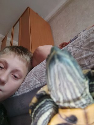 играю в калл оф дююти вв 2 и в роблокс