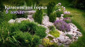 Каменистая горка в июле