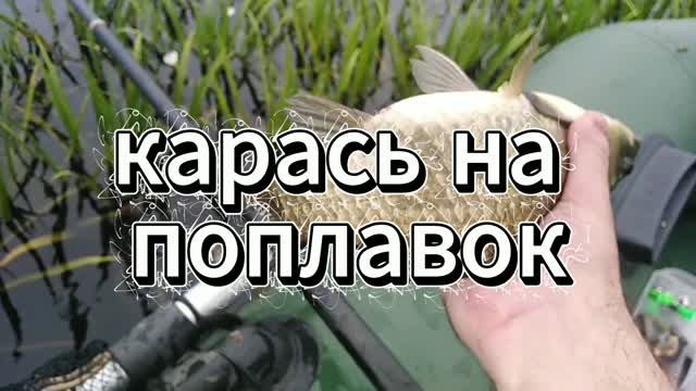 Карась на поплавок. Заросшее озеро.Рыбалка перед грозой. смотреть онлайн