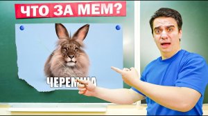 КОРОЧЕ ГОВОРЯ, ЭКЗАМЕН ПО МЕМАМ