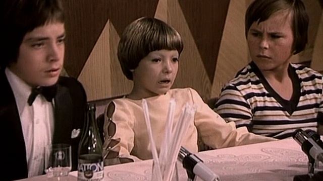 Приключения в каникулы 8 серия «Загадочный незнакомец» (сериал, 1978)
