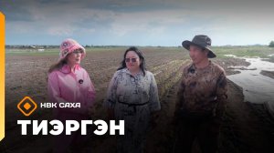 «Тиэргэн»  (02.07.26)
