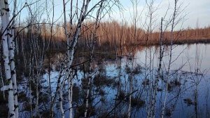Охота на уток. 5-день.