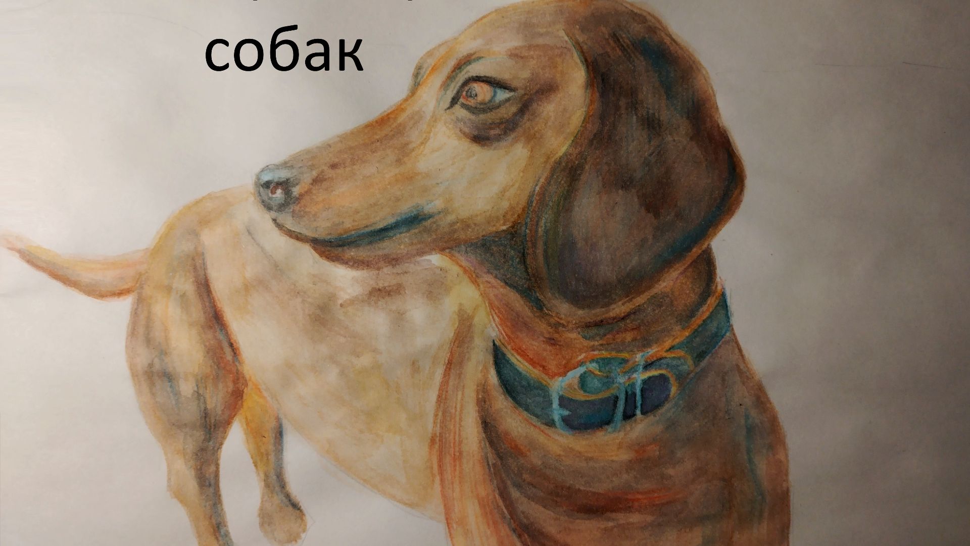 С Днем собак смотреть онлайн