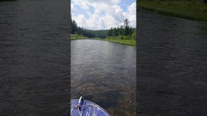 маловодие