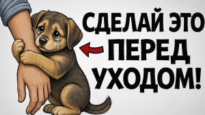 Всегда Делай ЭТО, Когда Оставляешь Собаку ОДНУ Дома!