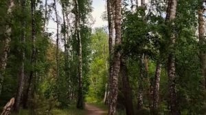 DG Leos-Розовый закат(Супер Хит 2026)