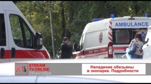Нападение обезьяны в экопарке. Подробности
