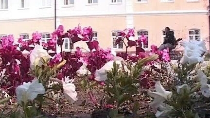 Ишимские истории. Легенды и факты.