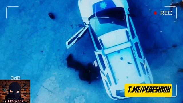 Сброс на украинского легавого