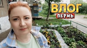 ВЛОГ«Готовлю😋,пересаживаю 🪴,дожди каждый день ☔!🤗❤