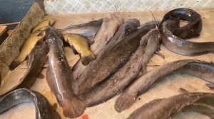 итоговый улов на малом водоёме