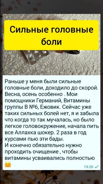 Отзывы
