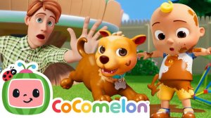 Новый лучший друг Джей-Джея, БИНГО! 🐶 | День щенка | CoComelon Детские стишки и песни для детей