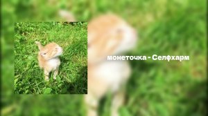Плейлист с летним вайбом / летний плейлист  *✧･ﾟ:* #10/?